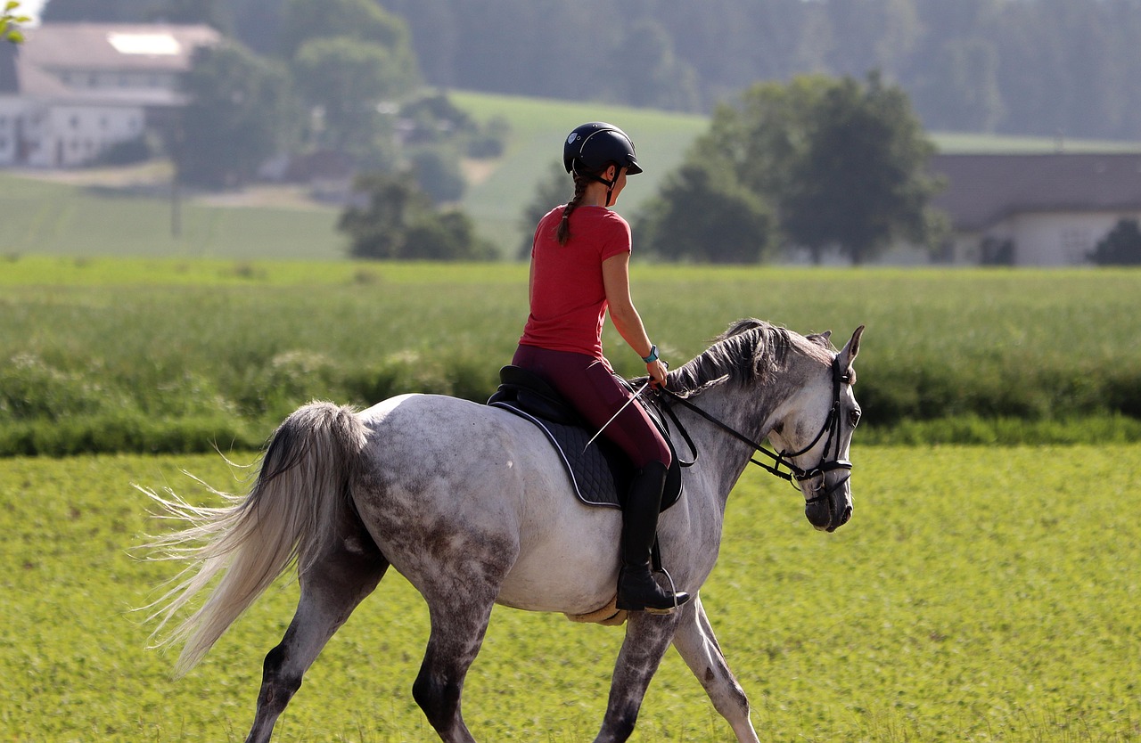 rider-4276458_1280.jpg